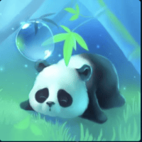 Avatar of Anthony He