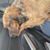 Avatar of 14romain30