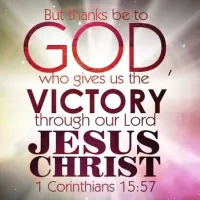 Rafael Adam's avatar