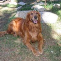 Avatar of Larry Evans