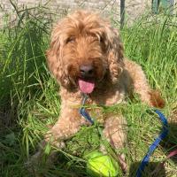 200orbustQueen's avatar