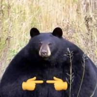 Avatar of K1LL N1gers