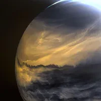 Avatar of Anthony Atanasov