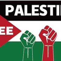 Avatar of R Abdelali