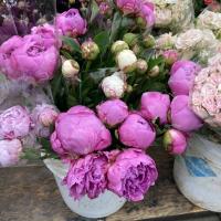 Avatar of Ablebaker99