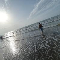 Avatar of abolfazl amarloo