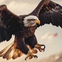 Sidi Boidiya's avatar