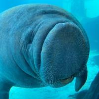 Magnus Orn Ulfarsson's avatar