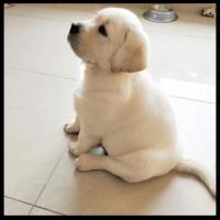 Avatar of Akash Verma