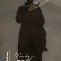 Avatar of adarsh kumar