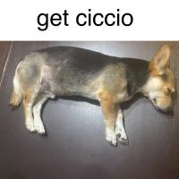 Avatar of Adrian10vero