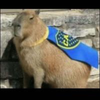 Adrian Moldovan's avatar