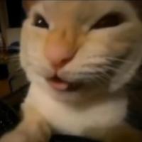 Avatar of Armaan Agrawal