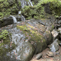 Graham Horobetz's avatar