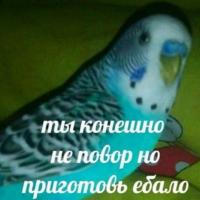 Avatar of Аркадий Афян