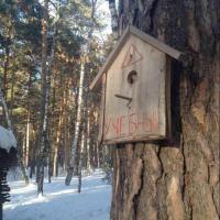 Sergey Agapov's avatar