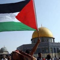 Avatar of Ahmed Elngar