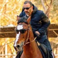 Ahmed Kandil's avatar