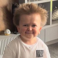 Avatar of AHMED SHAWKY