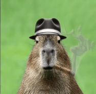 Avatar of Aidan Green