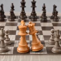 Avatar of Sorin Florean