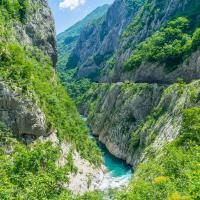 Elizaveta Martynyuk's avatar