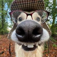 Aku Salonen's avatar