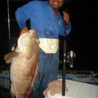 Avatar of Taulani Tukiran