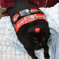 Avatar of Alan Medina