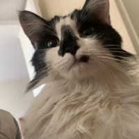 Avatar of Anibal Medina