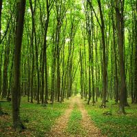 Alban alban1987@hotmail.com's avatar