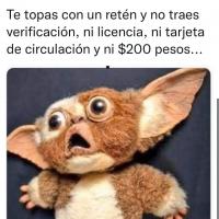 Avatar of Alexander achu