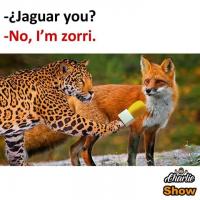 Avatar of Alecto Yánez