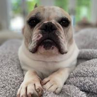 Alex Leibow's avatar