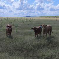 Avatar of Alejandro Gonzalez