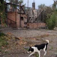 Avatar of AlexanderZEKA