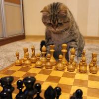 Avatar of Αλέξανδρος