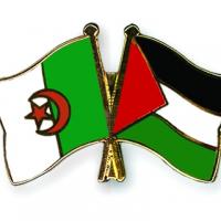 Mohamed Haddouche's avatar