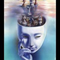 Avatar of salim salim