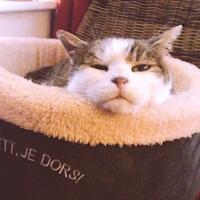 Avatar of Akhtar Ali