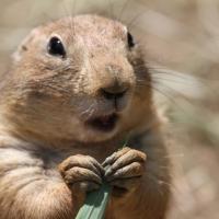 Avatar of Alan Stein