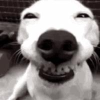 Avatar of Alexandra Alieva