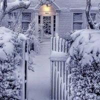 Avatar of alisher2233