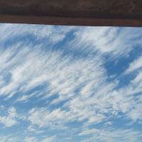 Avatar of Allajulienne