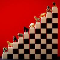 Martin Yatskar's avatar