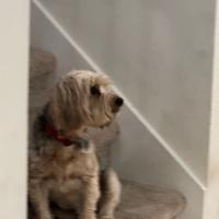 Avatar of Alok Sharma