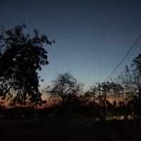 Avatar of Soham Shelar