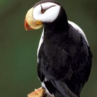 Avatar of John Hartman