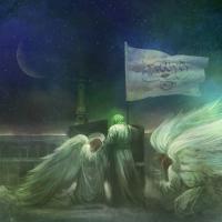 Avatar of aminro5083