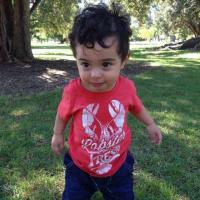 Avatar of Amir Bashtin